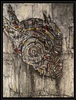 Space Tribe I